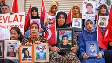 Diyarbakır annelerinden 4'üncü yılına girecek 'evlat nöbetlerine' dayanak noktası çağrısı