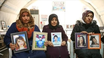 Diyarbakır annelerinden hepsi hanımlara 8 Mart'ta 'evlat nöbetine destek' çağrısı