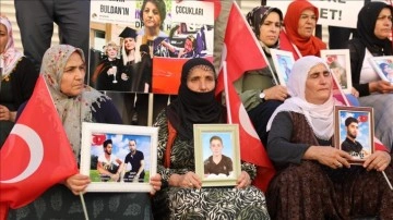 Diyarbakır annelerinin oturma eylemine dü fasile elan katıldı