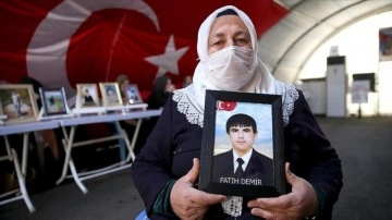 Diyarbakır anası Sevdet Demir: Oğlumu bölgeye denli gitmeyeceğim
