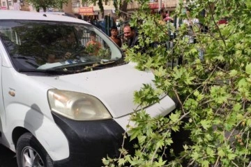 Diyarbakır’da seyir halindeki ticari aracın üstüne ağaç devrildi