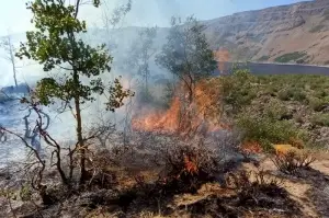 Doğa harikası Nemrut kalderasında korkutan yangın
