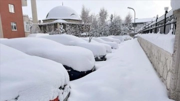 Doğu Anadolu'da ilkbaharda dip kar can alıcı oldu