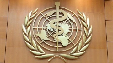 DSÖ: Rahim ağzı kanseri ölümlerinin 10'da 9'u ceninisakıt ve itidalli gelirli ülkelerde