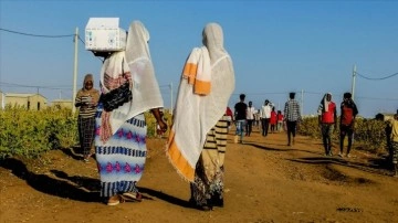 Dünya Gıda Programı, Sudan'da tonlarca gıdanın yağmalanması hakkında yardımları durdurdu