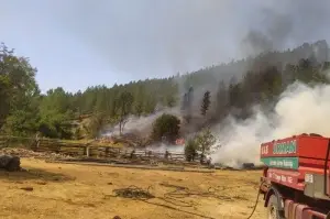 Dursunbey’de orman yangını