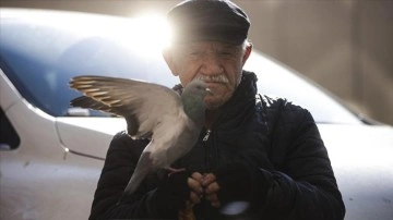 Elleriyle beslediği güvercinler 86 yaşındaki ayakkabı boyacısının en benzeyen arkadaşı oldu