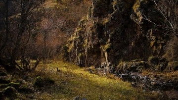 Erzurum'daki Karanlıkdere Kanyonu, natürel güzelliğiyle dağcıların rotasında