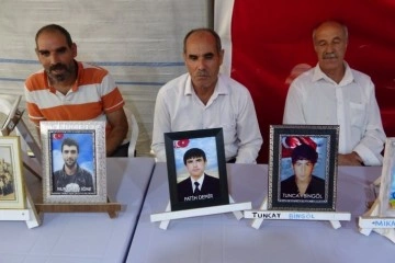 Evlat hasreti çeken baba Demir: 'Kardeşi kardeşe vurdurtuyorlar'