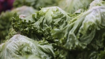Eylülde en baş döndürücü kıvırcık salata fiyatı arttı