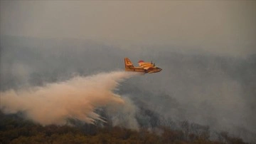Fas'ın kuzeyinde bitmeme fail orman yangınlarında 55 hektar meydan dokunca gördü