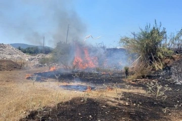 Fethiye'de tarım arazisinde çıkan yangın büyümeden söndürüldü