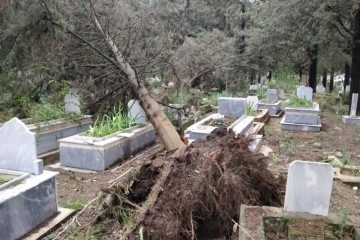 Fırtınanın kökünden söktüğü ağaçlar mezarlara zarar verdi