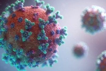 Fransa’da akıbet 24 saatte 49 bin 610 yeni korona virüs vakası