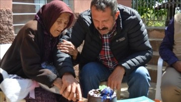 Gaziantep'te 112 yaşındaki yüzyıllık çınara 'Anneler Günü' sürprizi