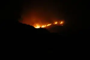 Gece 4 helikopter devreye girdi, Bodrum'da yangın kontrol altına alındı