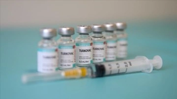Gönüllüler evcil aşı TURKOVAC'ı emin buluyor