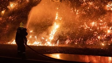 Güney Kore'deki orman yangınında 216 yapı kullanılamaz bir vaziyete geldi