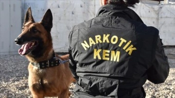 Hakkari'de uyuşturucu dedektör köpekler polisin en şişman destekçisi oldu
