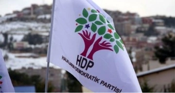 HDP’li vekilin görevi dağ kadrosuna eleman aktarmak çıktı