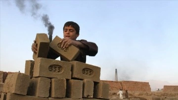 ILO'dan dünyada çocuk işçi sayısında çoğalma uyarısı