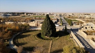 İran'ın en buğulu ağacı Dünya Mirası Listesi'ne girmeyi bekliyor