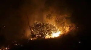 İsrail, Batı Kudüs’teki ormanlık alanda çıkan yangınlar nedeniyle uluslararası yardım istedi