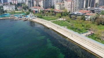 İstanbul'da birtakım sahillerde müsilaj benzeşim pislik görüldü