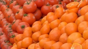 İstanbullular 2022'de en baş döndürücü domates ve portakal tüketti