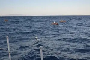 İzmir açıklarında 74 düzensiz göçmen kurtarıldı