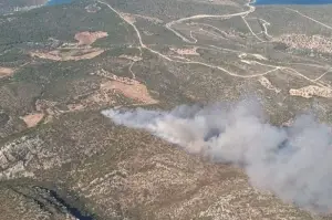 İzmir'de iki ayrı bölgede orman yangını: Havadan ve karadan müdahale başladı