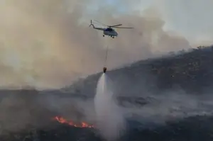 İzmir’deki orman yangınları kontrol altında