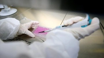 Japon bilgelik müşterilerini yaşlılıkla türeyen 'zombi hücrelere' hakkında aşı üretti