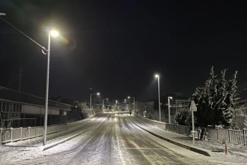 Japonya’da şiddetli kar ve buzlanma nedeniyle 215 kişi hastanelik oldu