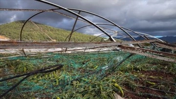 Karadeniz'de doğal afetlerde dokunca gören çiftçilere 50 milyon teklik ifa yapıldı