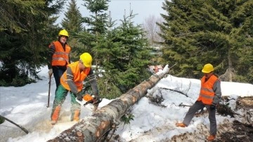 Karadeniz'de orman köylüleri güçlü kış şartlarında çalışıyor