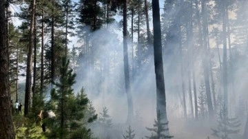 Kars'ta ormanlık bölgede çıkan sarık yangını söndürüldü