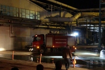 Kastamonu’da ağaç fabrikasında yangın