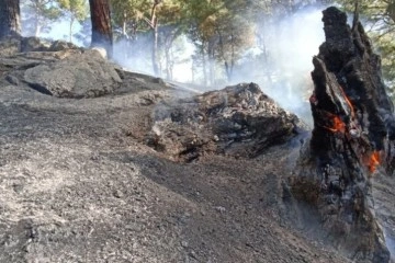 Kazdağları'ndaki yangın kontrol altına alındı