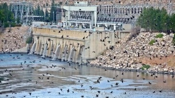 Keban Barajı ve HES aşırı sayıda kuş şekline ev sahipliği yapıyor