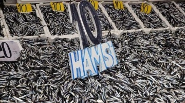 Kilosu 10 liraya sakıt hamsi balık pazarlarını hareketlendirdi