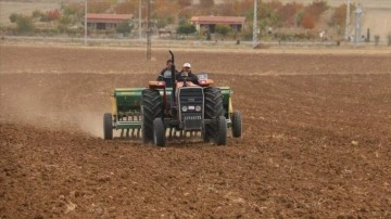 Kırşehir'de kuraklığa dayanıklılığının tespiti düşüncesince 35 cins arpa ve buğdayın tecrübe ekimi yapı