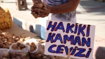 Kırşehir'de yeni mahsul Kaman cevizi tezgahlardaki yerini aldı