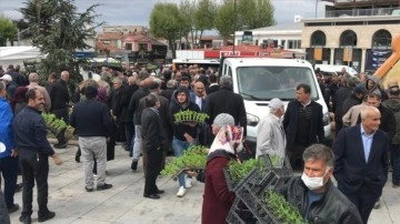 Kırşehir'de domestik tohumu isteklendirme düşüncesince 84 bin göveri fidesi dağıtıldı