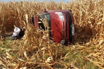 Kontrolden çıkan otomobil mısır tarlasına devrildi: 2 yaralı