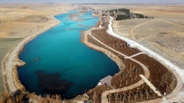Konya Ovası'nın kuraklıktan etkilenmeyen gölü dulda altına alındı