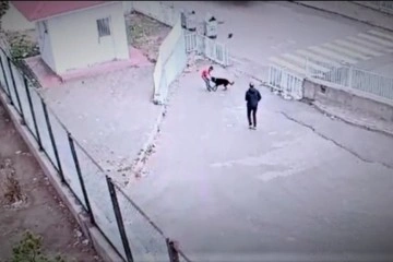 Köpeğin saldırısına uğrayan çocuğu okul güvenliği kurtardı