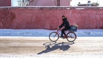 Köyden armağan gönderilen kuzuyu 'yorulmasın' sanarak bisikletiyle taşıdı
