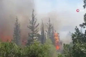 Kudüs’teki orman yangını devam ediyor
