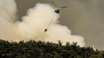 Manavgat'ta çakmakla orman yangını çıkaran sanığa 15 sene dam cezası